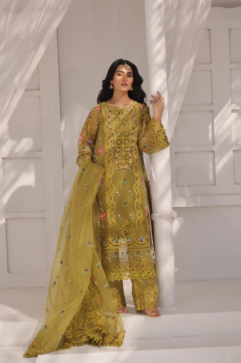 Aneelas party wear organza