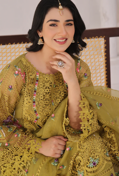 Aneelas party wear organza