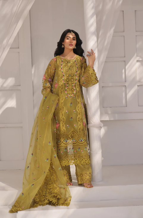 Aneelas party wear organza