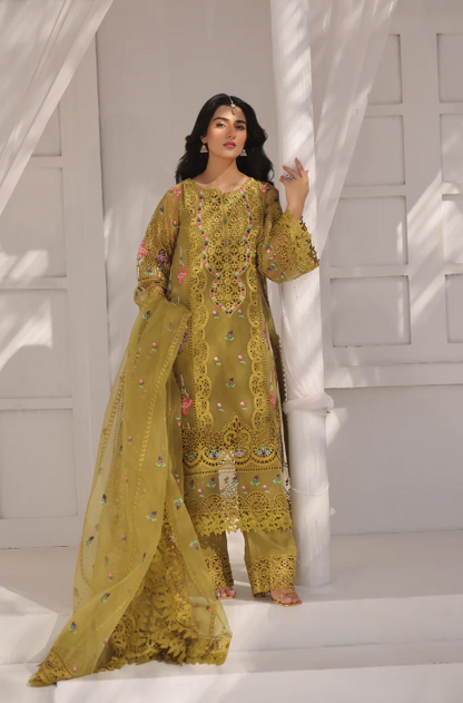 Aneelas party wear organza