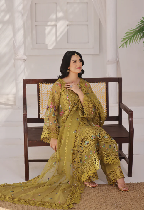 Aneelas party wear organza