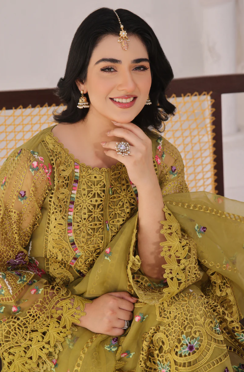 Aneelas party wear organza