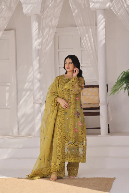 Aneelas party wear organza