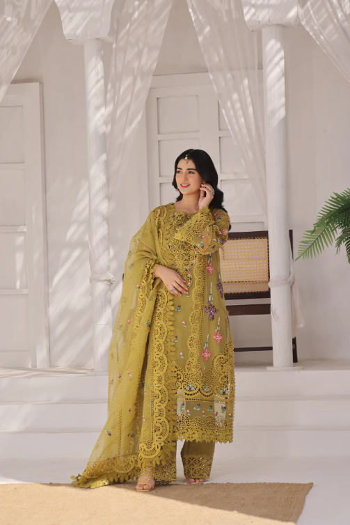 Aneelas party wear organza