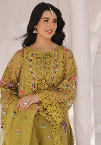 Aneelas party wear organza